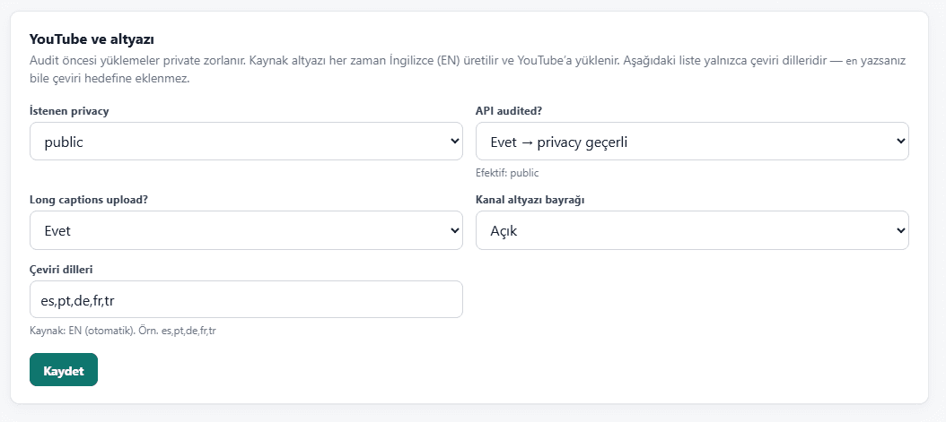 YouTube publishing settings for privacy, API audit, caption uploads, and translation languages.
